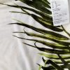 H&m Stl XL Färg Elfenben Floral Blad Rund urringning Tunika blus Kortärmad Material Viskos 100%